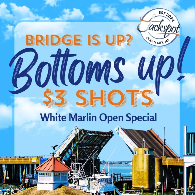 Bridge Is Up, Bottoms Up shots special poster